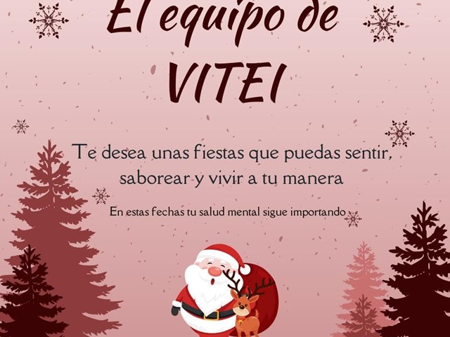 El equipo de VITEI te desea unas fiestas que puedas sentir, saborear y vivir a tu manera.